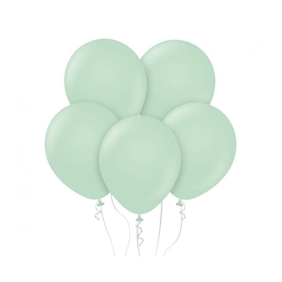 Beauty&Charm Balloons, green macaron 12" / 50 pcs.