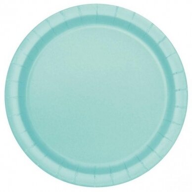 Paper plates, mint, 22cm, 16 pcs Paper plates, mint, 22cm, 16 pcs