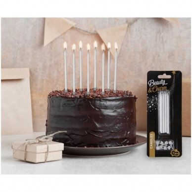 Birthday candles with holders, silver, 10 cm, 8 pcs, Birthday candles with holders, silver, 10 cm, 8 pcs,